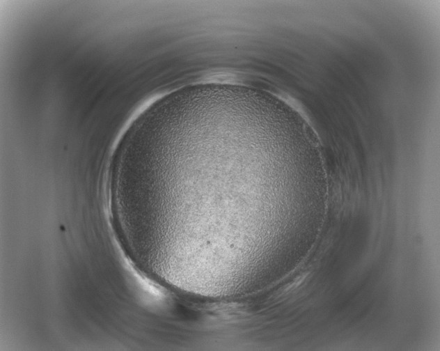 X0000067481131200604101222