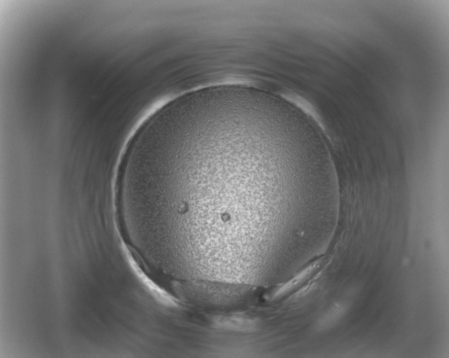 X0000067481135200604101222