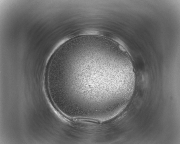 X0000067481139200604101222