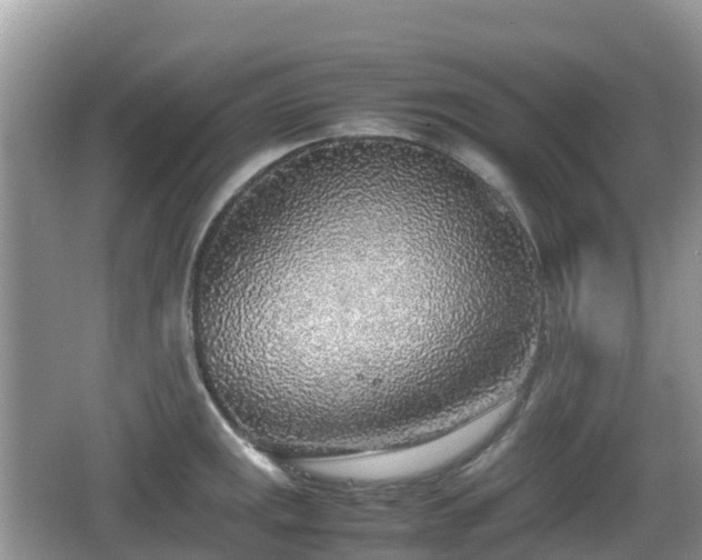 X0000067481141200604101222