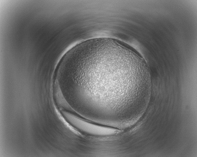 X0000067481142200604101222