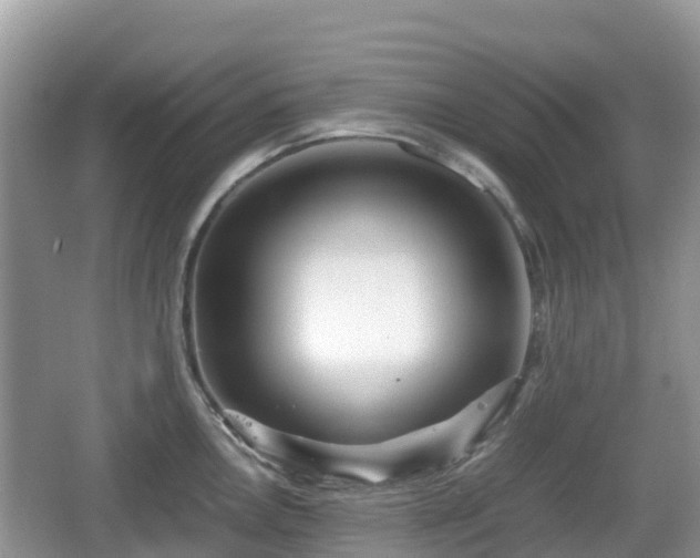 X0000067481146200604101222