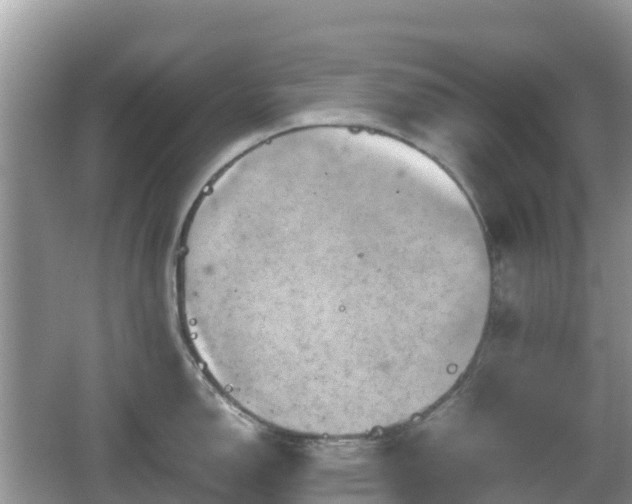 X0000067481150200604101223