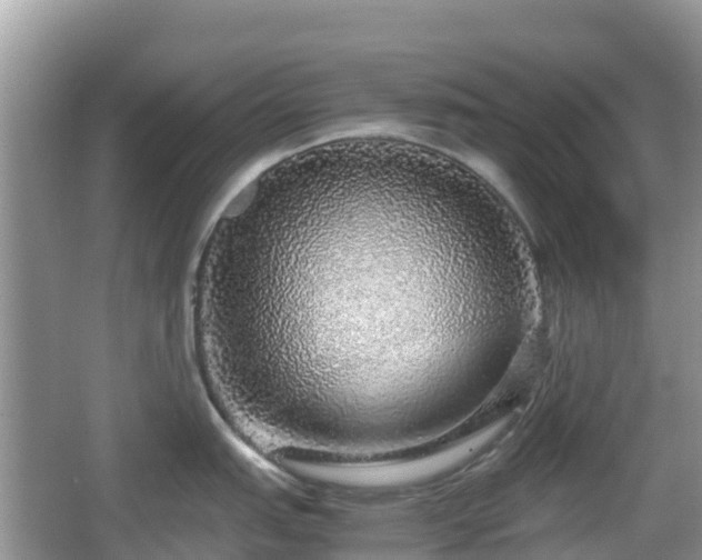 X0000067481151200604101223