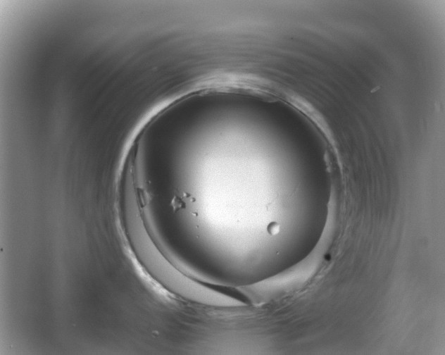 X0000067481152200604101223