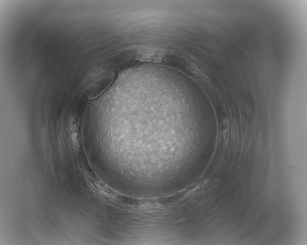 X0000067481154200604101222