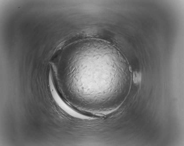 X0000067481155200604101222