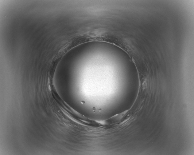 X0000067481156200604101222