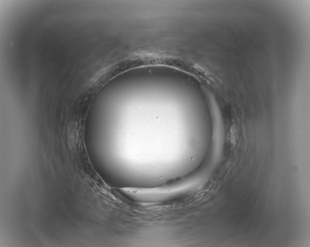 X0000067481157200604101222