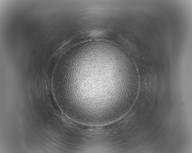 X0000067481158200604101222