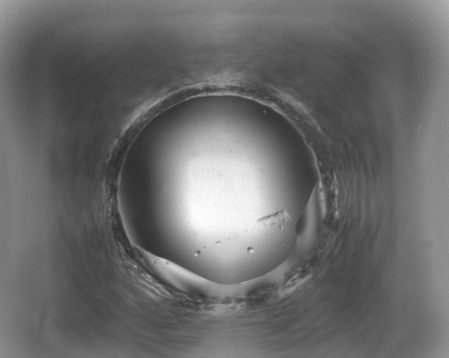 X0000067481160200604101222