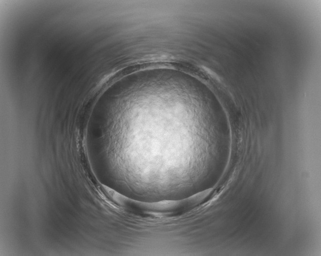 X0000067481161200604101222