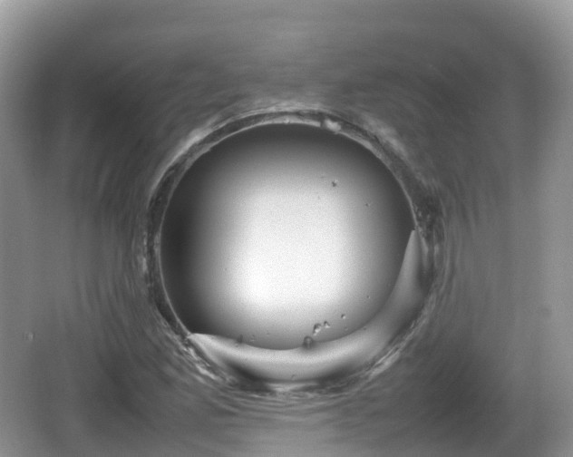 X0000067481165200604101222