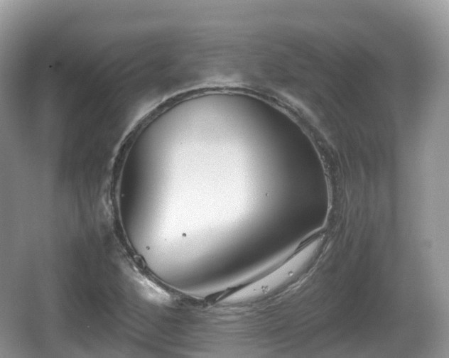 X0000067481168200604101221