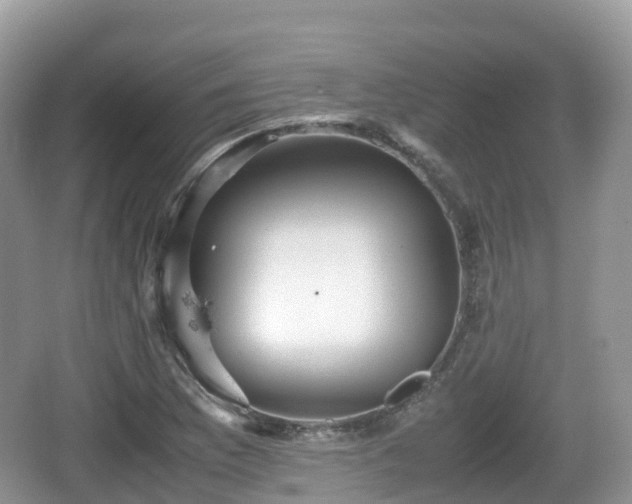 X0000067481169200604101221