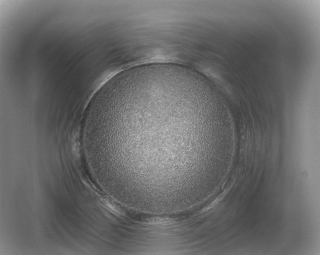 X0000067481170200604101221