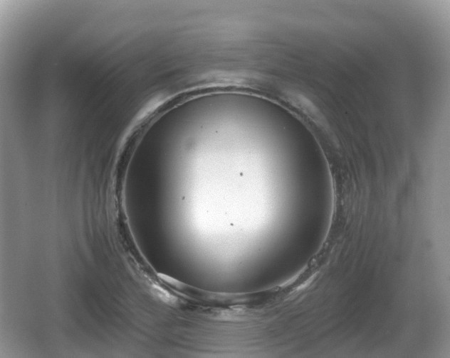 X0000067481172200604101221