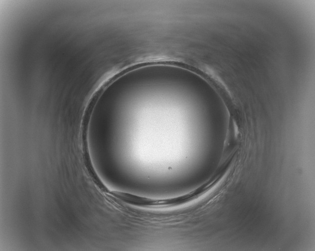 X0000067481173200604101221