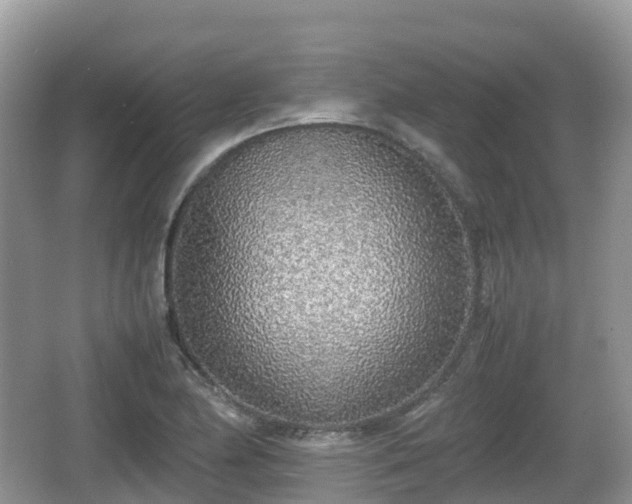 X0000067481174200604101221