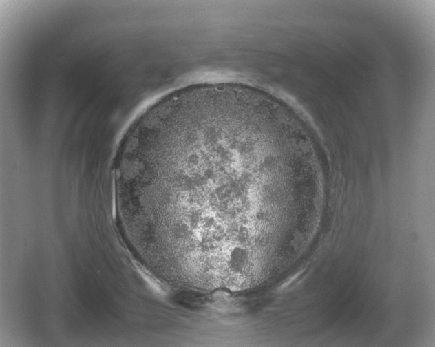 X0000067481175200604101221