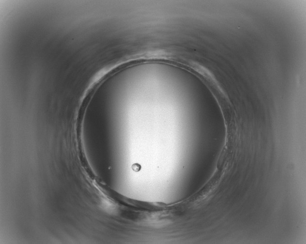 X0000067481176200604101221