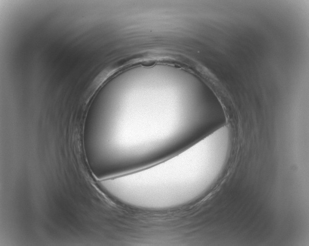 X0000067481177200604101221