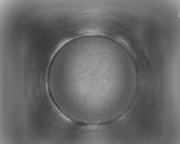 X0000067481182200604101221