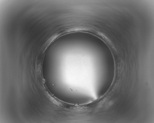 X0000067481185200604101221