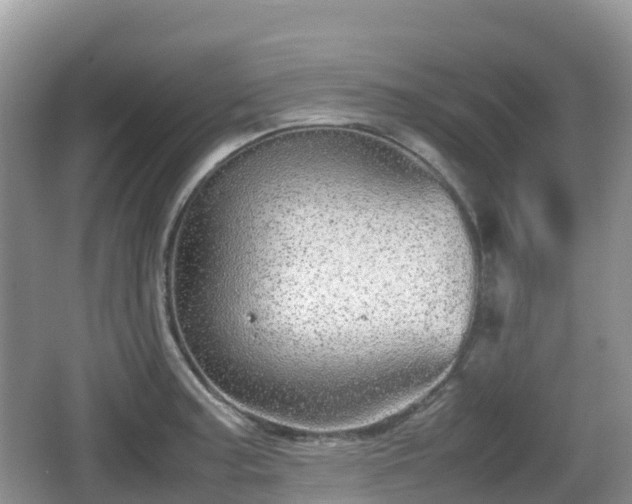 X0000067481187200604101221