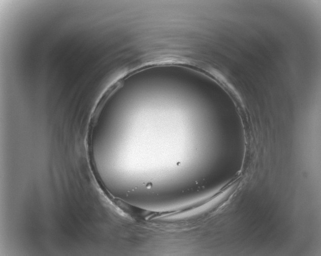 X0000067481189200604101221