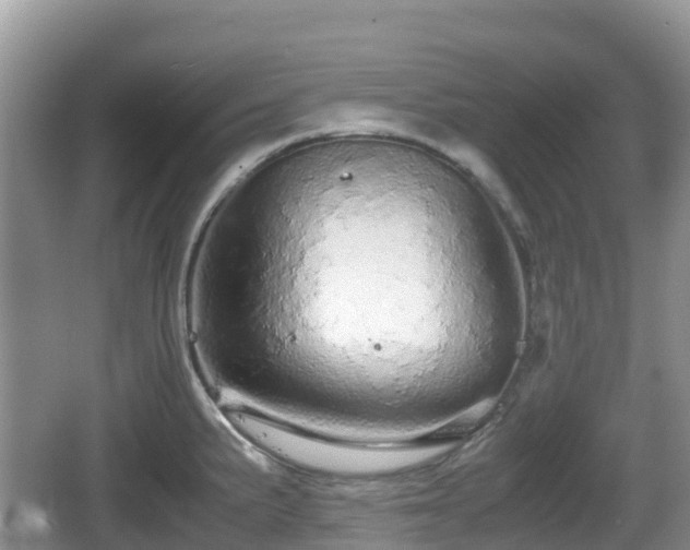 X0000067481191200604101221