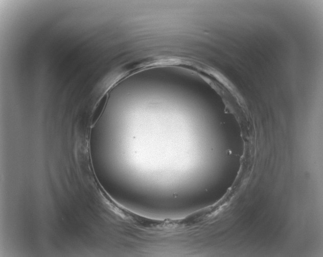 X0000067481193200604101221