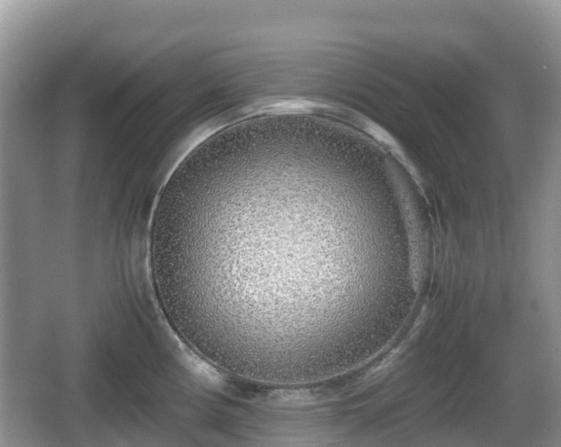 X0000067481194200604101221