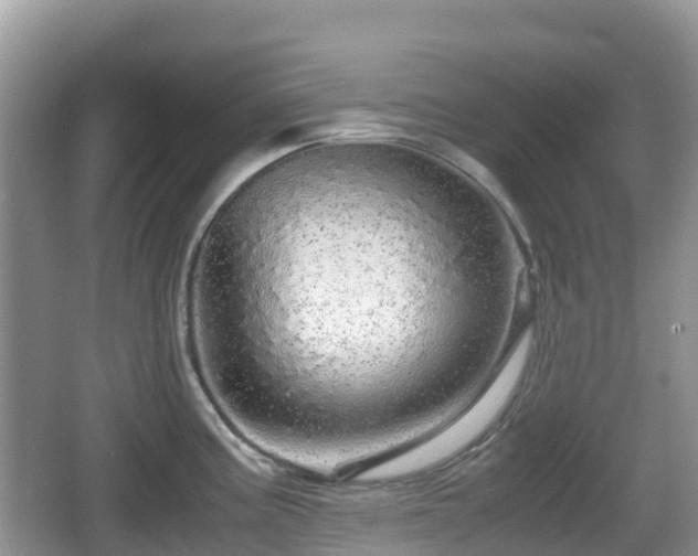 X0000067481195200604101221