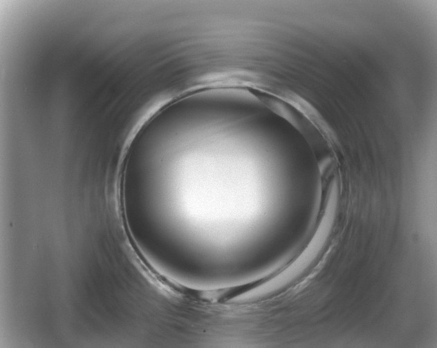 X0000067481196200604101221