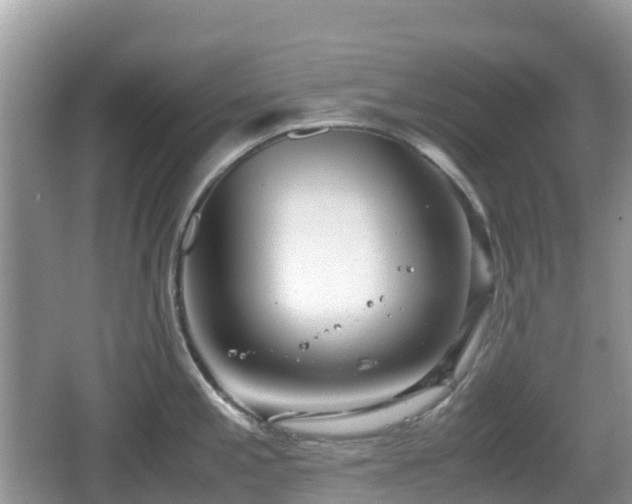 X0000067481197200604101221