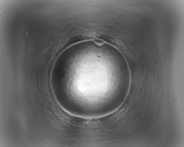 X0000067481201200604101220