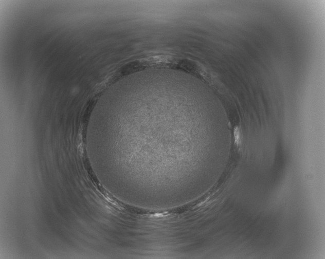 X0000067481203200604101220