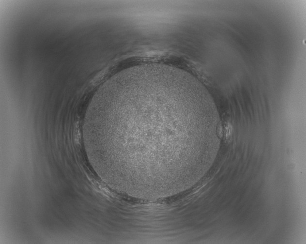 X0000067481204200604101220