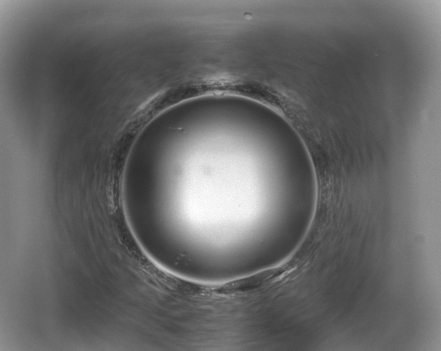 X0000067481205200604101220