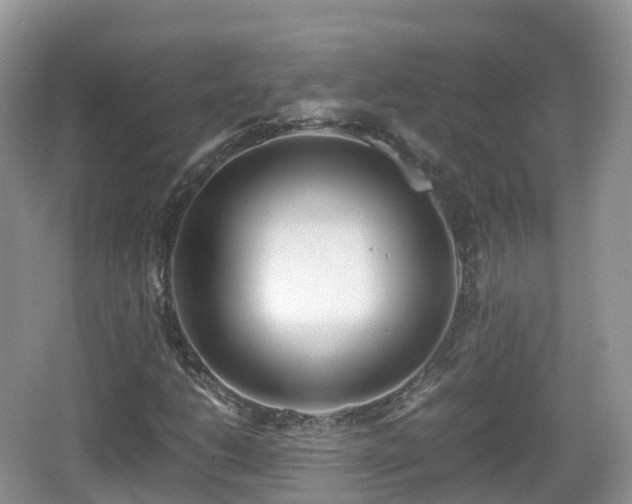 X0000067481206200604101220