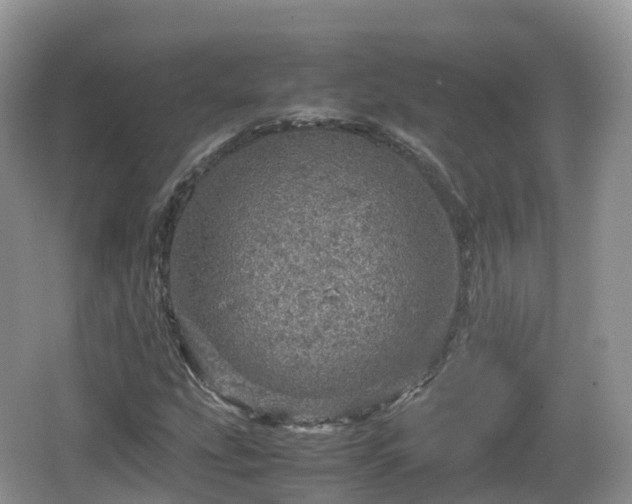 X0000067481207200604101220