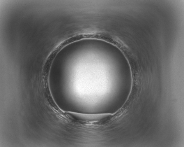 X0000067481208200604101220