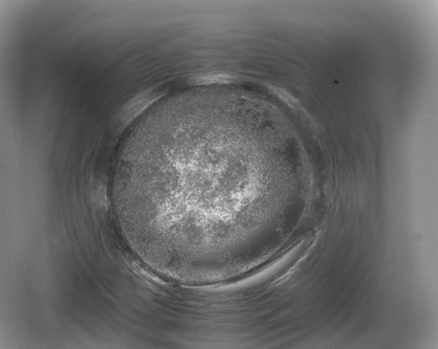 X0000067481209200604101220