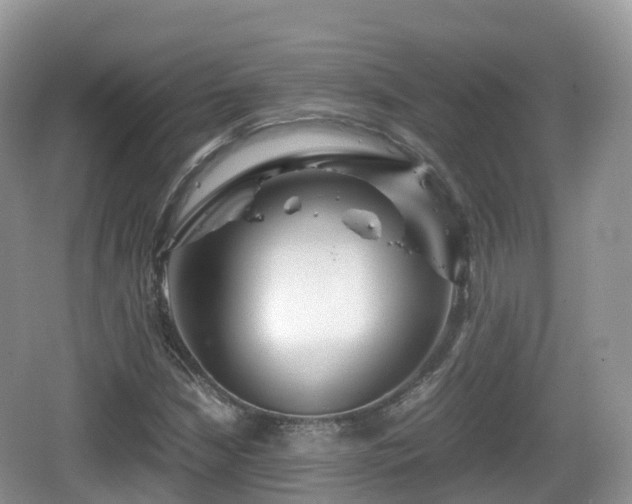 X0000067481210200604101220