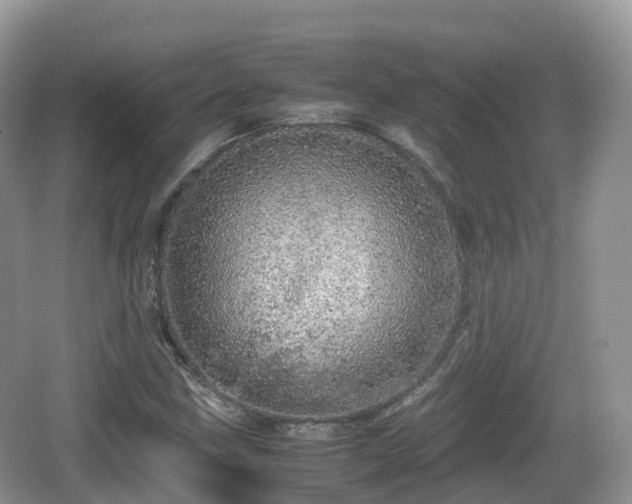 X0000067481211200604101220