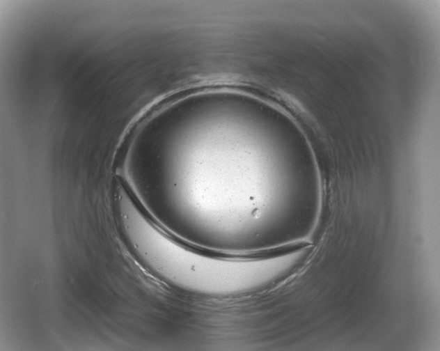 X0000067481212200604101220