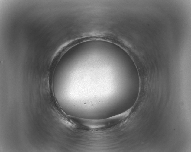 X0000067481214200604101220