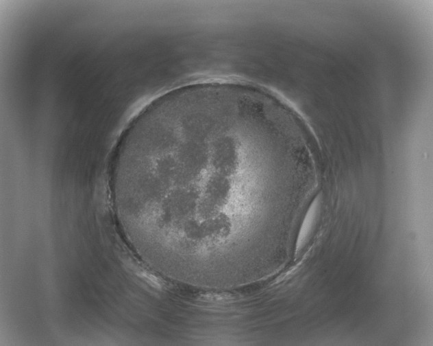 X0000067481215200604101220