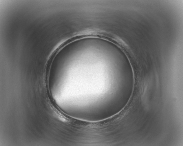 X0000067481216200604101220